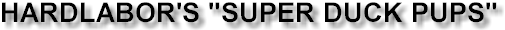 Hardlabor's "Super Duck Pups"