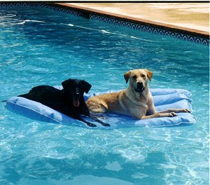 image21.jpg (27109 bytes)