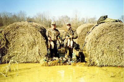 image7.jpg (42803 bytes)