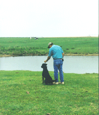 training2.gif (29495 bytes)