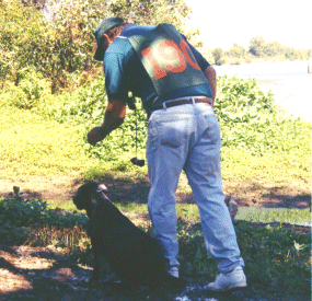 training3.gif (63691 bytes)